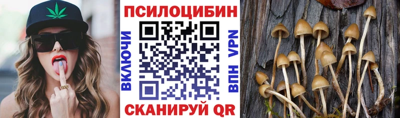 Галлюциногенные грибы прущие грибы  Купить где  Лихославль 
